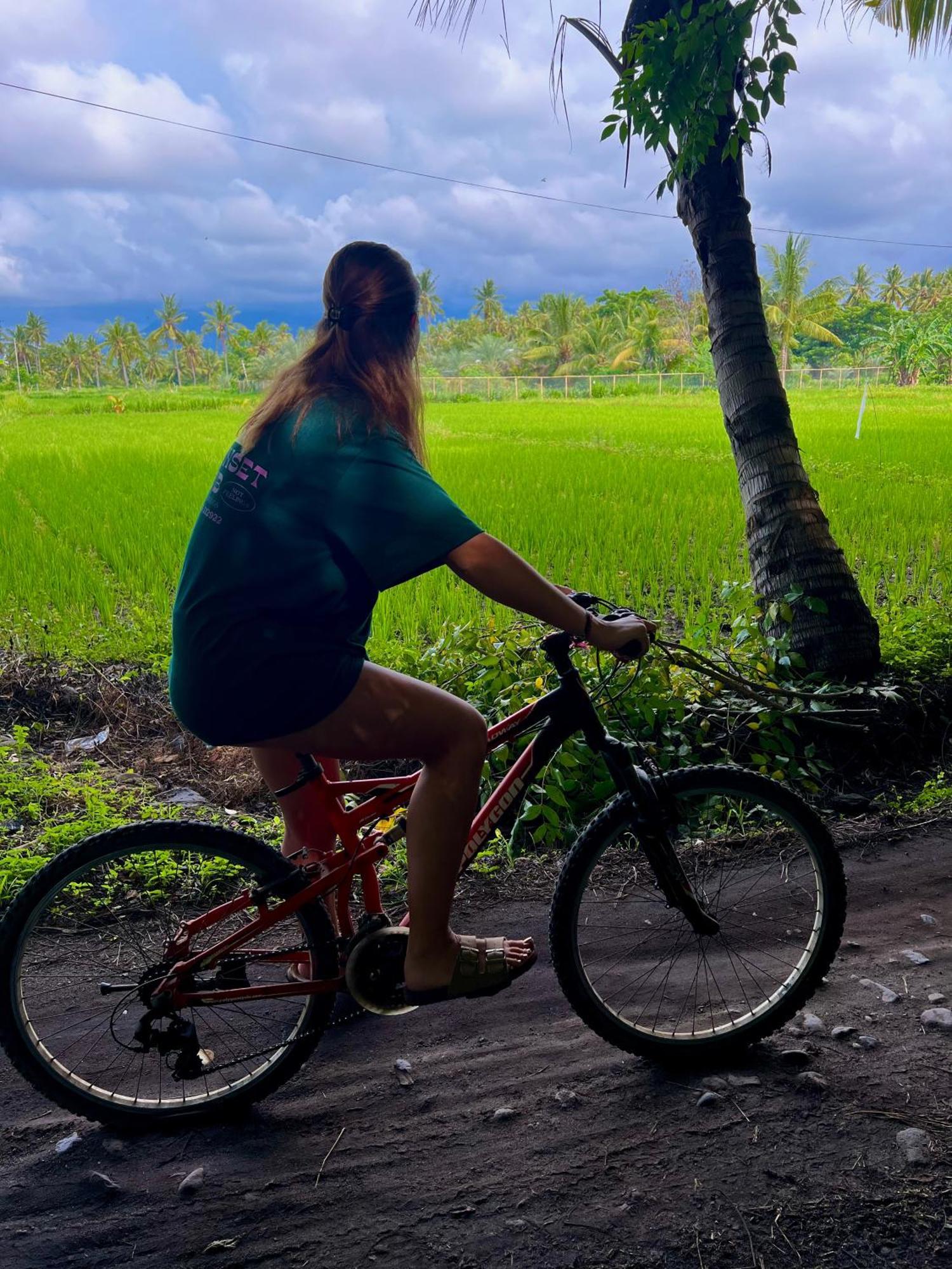 Rinjani Beach Eco Resort Tanjung  Ngoại thất bức ảnh